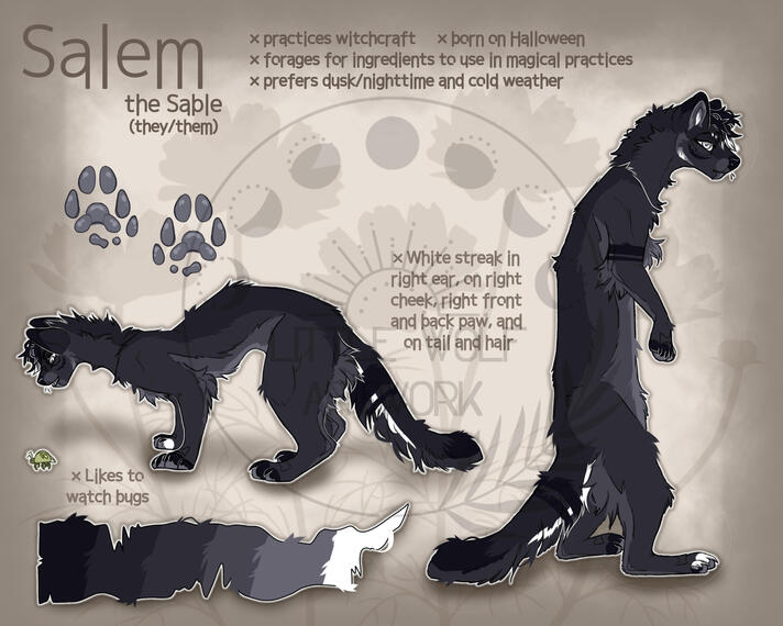 Feral+anthro reference sheet Feral+anthro reference sheet