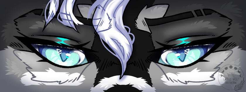 Eye Banner