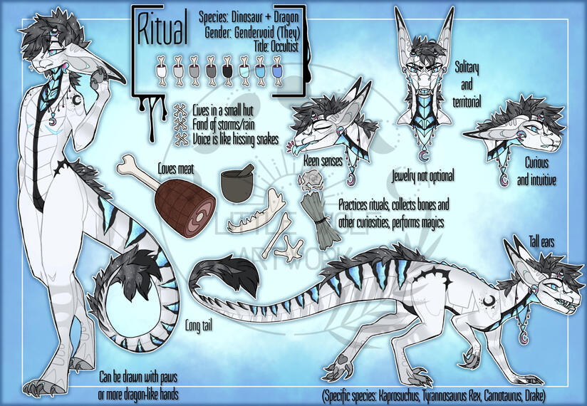 Anthro+feral reference sheet