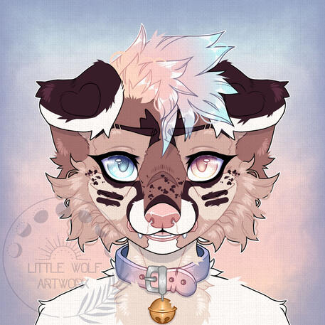 Symmetrical Icon (shaded)